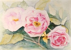 Plantae 7 - sur papier aquarelle 200x300 P7