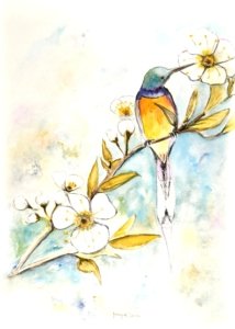 Plantae 8 - sur papier aquarelle 200x300 P8